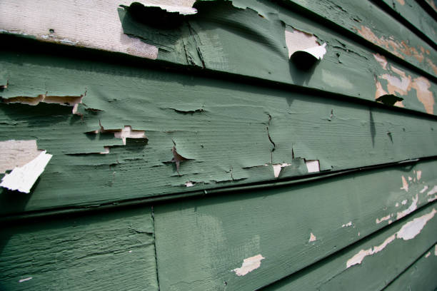 Best Same-Day Junk Removal Services  in Warrensburg, MO