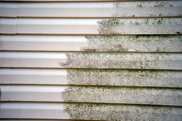 Best Carpet Removal and Disposal  in Warrensburg, MO