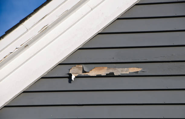 Shed Removal in Warrensburg, MO